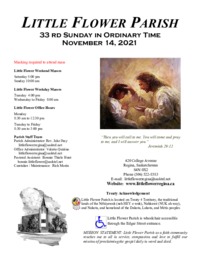 33rd Sunday in Ordinary Time